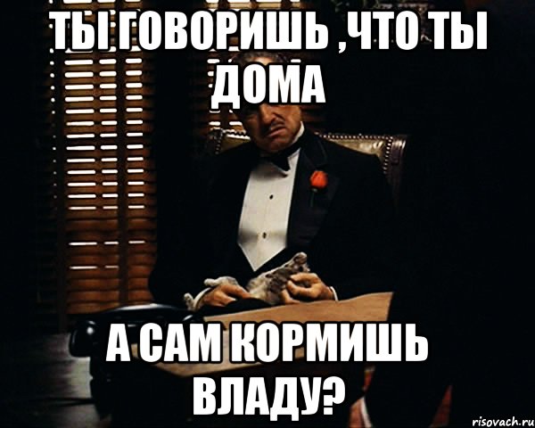 Ты дома. А ты дома, да?.