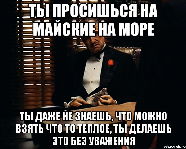 Твой орех просится на грех. Напрашиваться. Проситься или просится как правильно. Картинка Мем ты просишься в друзья но делаешь это без уважения. Так и просится в твой ангар Мем.