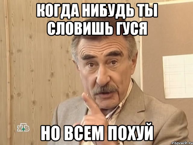 Когда нибудь ты словишь гуся Но всем похуй, Мем Каневский (Но это уже совсем другая история)