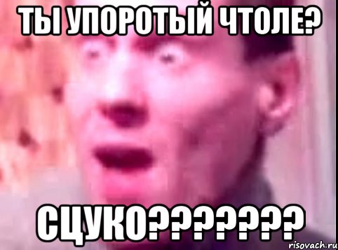 Ты упоротый чтоле? Сцуко???????, Мем Дверь мне запили