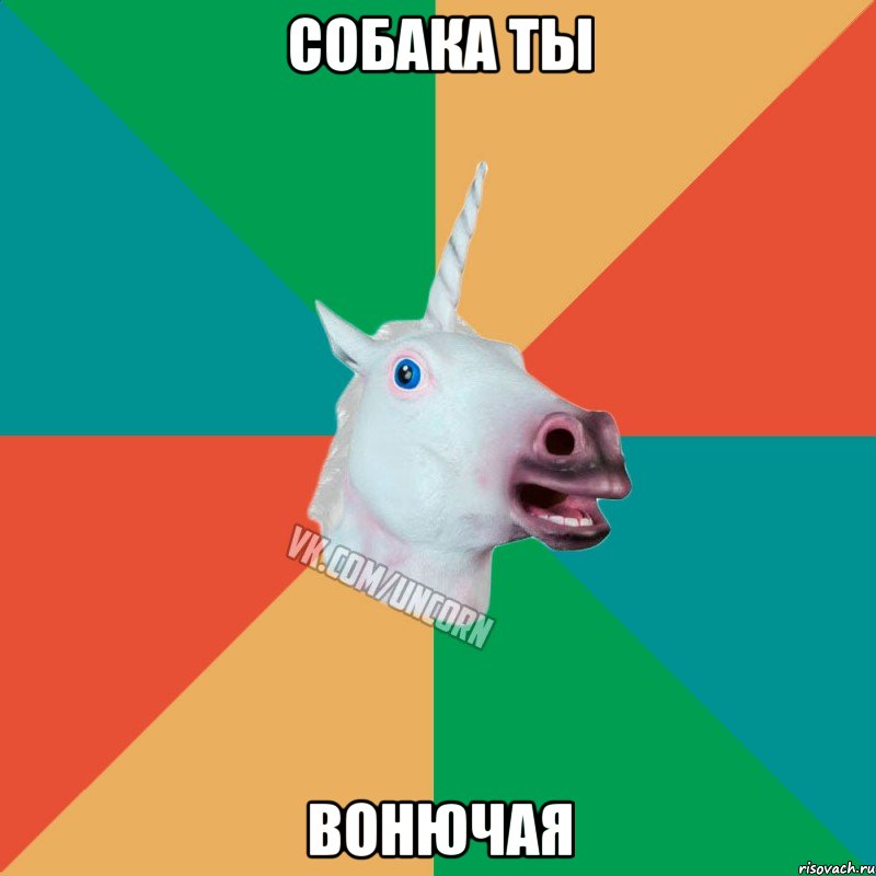 собака ты вонючая