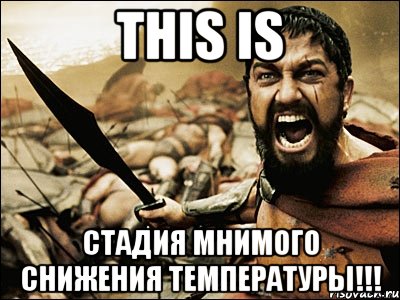 this is стадия мнимого снижения температуры!!!, Мем Это Спарта