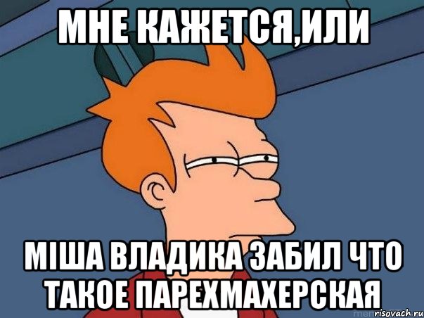 МНЕ КАЖЕТСЯ,ИЛИ МІША ВЛАДИКА ЗАБИЛ ЧТО ТАКОЕ ПАРЕХМАХЕРСКАЯ, Мем  Фрай (мне кажется или)