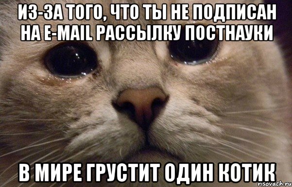 из-за того, что ты не подписан на e-mail рассылку ПостНауки в мире грустит один котик, Мем   В мире грустит один котик