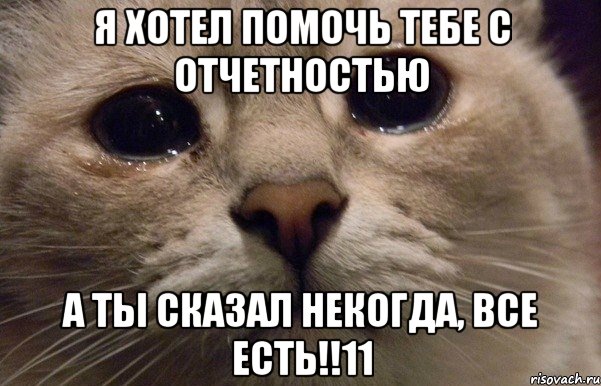 Я хотел помочь тебе с отчетностью а ты сказал НЕКОГДА, ВСЕ ЕСТЬ!!11, Мем   В мире грустит один котик