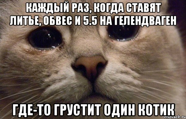 каждый раз, когда ставят литье, обвес и 5.5 на гелендваген где-то грустит один котик, Мем   В мире грустит один котик