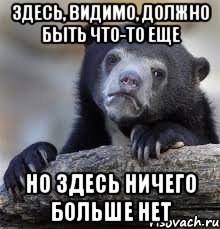 здесь, видимо, должно быть что-то еще но здесь ничего больше нет, Мем грустный медведь