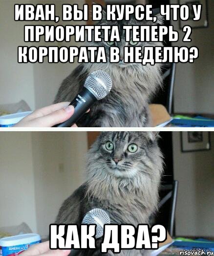 Иван, Вы в курсе, что у Приоритета теперь 2 корпората в неделю? Как два?, Комикс  кот с микрофоном