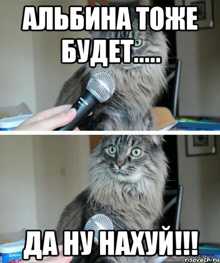 Альбина тоже будет..... Да ну нахуй!!!, Комикс  кот с микрофоном