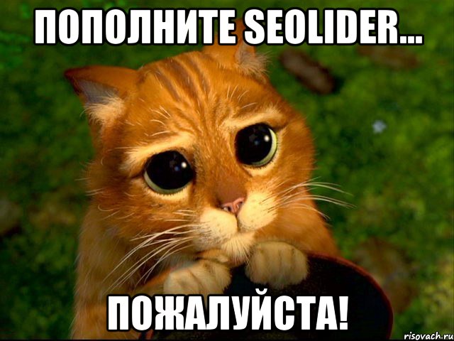 Пополните SeoLider... Пожалуйста!, Мем кот из шрека