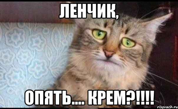 Ленчик, опять.... крем?!!!!, Мем  кот печаль