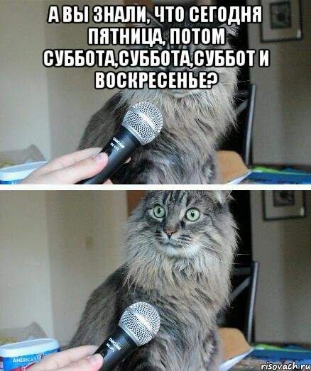 А вы знали, что сегодня пятница, потом суббота,суббота,суббот и воскресенье? , Комикс  кот с микрофоном