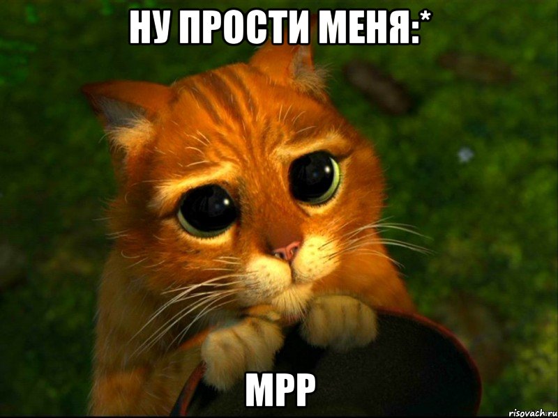 Ну прости меня:* мрр, Мем кот из шрека