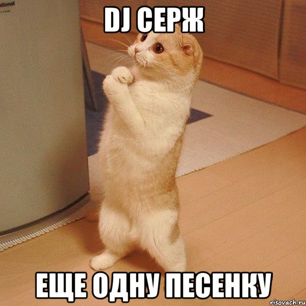 Dj Серж еще одну песенку, Мем  котэ молится