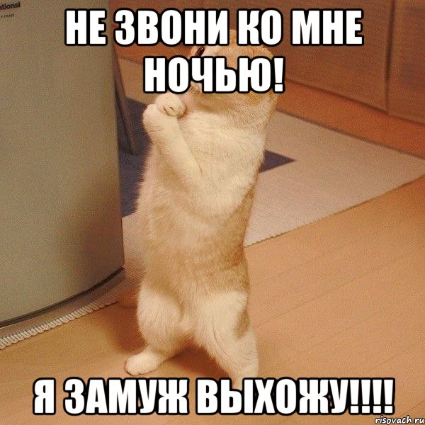 НЕ ЗВОНИ КО МНЕ НОЧЬЮ! Я ЗАМУЖ ВЫХОЖУ!!!!, Мем  котэ молится