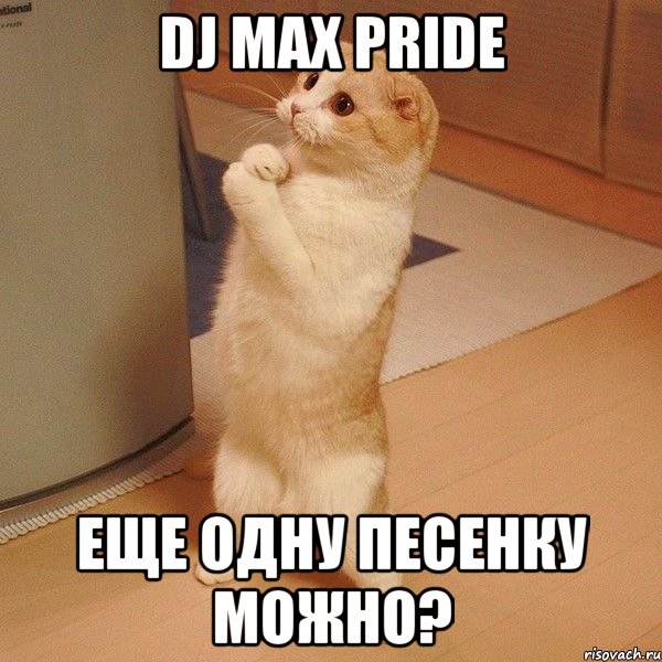 Dj Max PRIDE еще одну песенку можно?, Мем  котэ молится