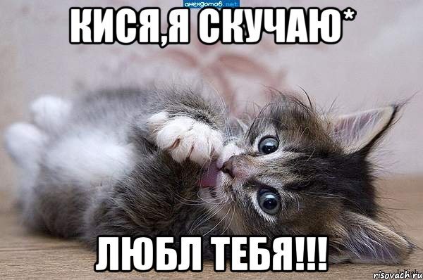 Кися,я скучаю* Любл тебя!!!, Мем  котенок