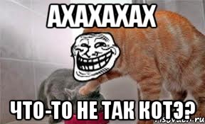 Ахахахах Что-то не так котэ?, Мем Котэйко