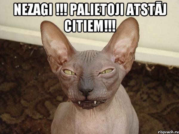 Nezagi !!! Palietoji atstāj citiem!!! , Мем  Злой котик