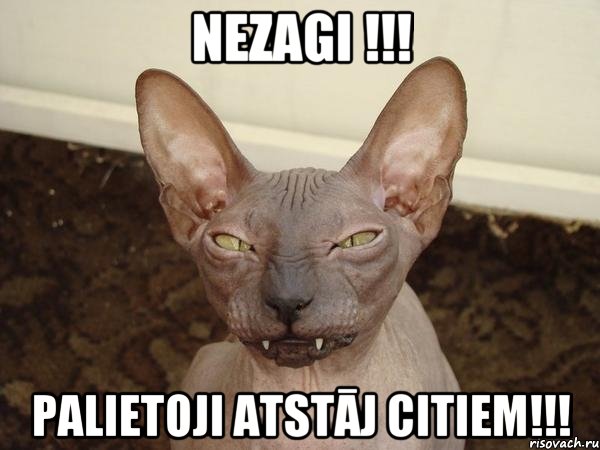 Nezagi !!! Palietoji atstāj citiem!!!, Мем  Злой котик