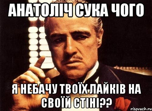 Анатоліч сука чого я небачу твоїх лайків на своїй стіні??, Мем крестный отец