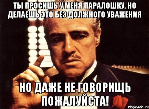 Ты просишь у меня паралошку, но делаешь это без должного уважения Но даже не говорищь пожалуйста!, Мем крестный отец