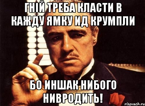 Гній треба класти в кажду ямку ид крумпли бо иншак нибого нивродить!, Мем крестный отец