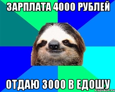 Зарплата 4000 рублей Отдаю 3000 в Едошу, Мем Ленивец