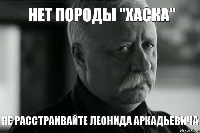 Нет породы "Хаска" Не расстраивайте Леонида Аркадьевича, Мем Не расстраивай Леонида Аркадьевича