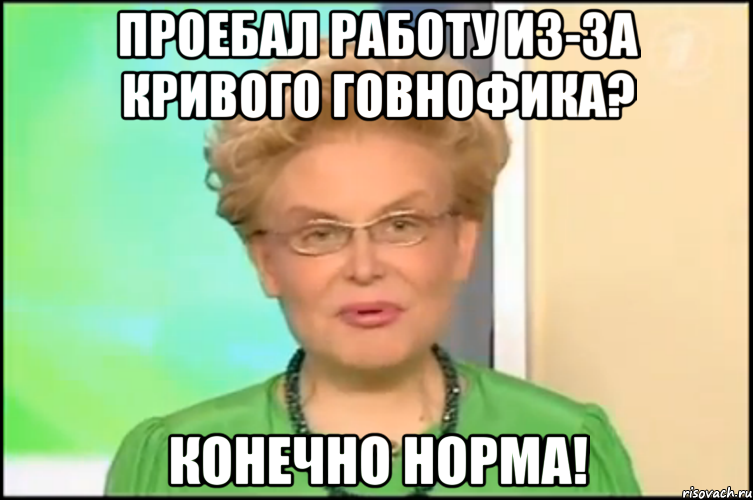 Проебал работу из-за кривого говнофика? Конечно норма!, Мем Малышева