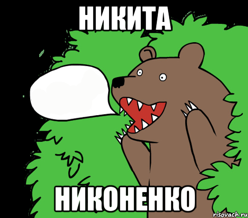 Никита Никоненко, Комикс медведь из кустов