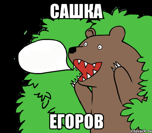 Сашка Егоров, Комикс медведь из кустов