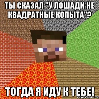 Ты сказал "у лошади не квадратные копыта"? Тогда я иду к тебе!, Мем Миникрафтер