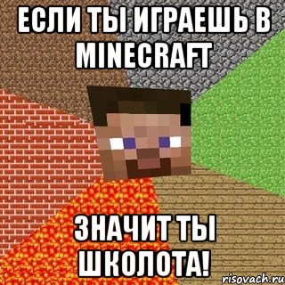 Если ты играешь в Minecraft Значит ты Школота!