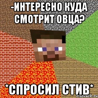 -Интересно куда смотрит овца? *спросил Стив*