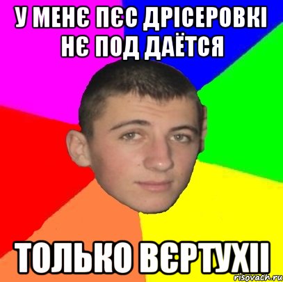 У менє пєс дрісеровкі нє под даëтся только вєртухіі