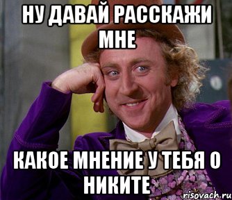 Ну давай расскажи мне какое мнение у тебя о Никите, Мем мое лицо