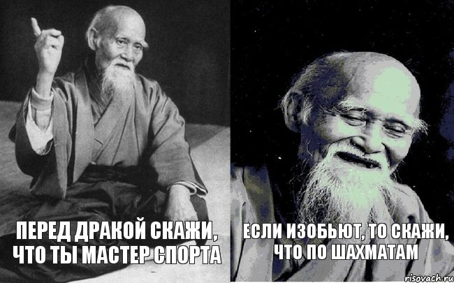 Перед дракой скажи, что ты мастер спорта Если изобьют, то скажи, что по шахматам, Комикс Мудрец-монах (2 зоны)