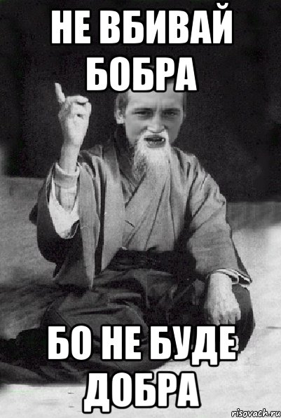 не вбивай бобра бо не буде добра, Мем Мудрий паца