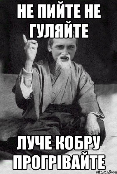 не пийте не гуляйте луче кобру прогрівайте, Мем Мудрий паца