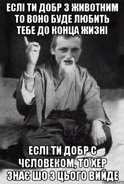 ЕСЛІ ТИ ДОБР З ЖИВОТНИМ ТО ВОНО БУДЕ ЛЮБИТЬ ТЕБЕ ДО КОНЦА ЖИЗНІ ЕСЛІ ТИ ДОБР С ЧЄЛОВЕКОМ, ТО ХЕР ЗНАЄ ШО З ЦЬОГО ВИЙДЕ, Мем Мудрий паца