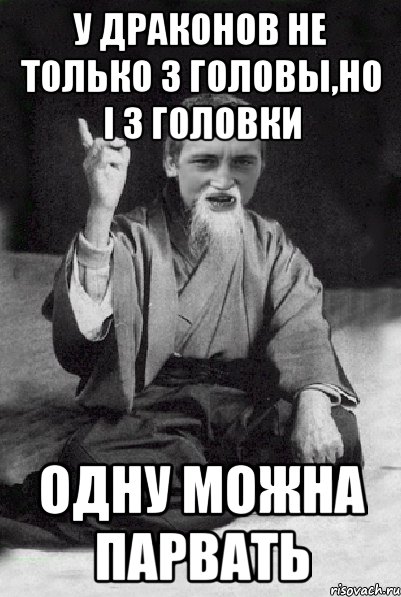 у драконов не только 3 головы,но і 3 ГОЛОВКИ одну можна парвать, Мем Мудрий паца