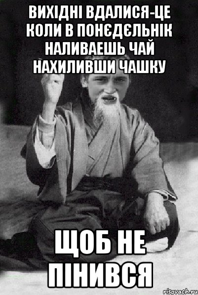 вихідні вдалися-це коли в понєдєльнік наливаешь чай нахиливши чашку щоб не пінився, Мем Мудрий паца