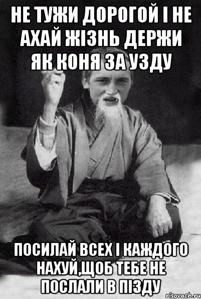 Не тужи дорогой і не ахай Жізнь держи як коня за узду Посилай всех і каждого нахуй,щоб тебе не послали в пізду, Мем Мудрий паца