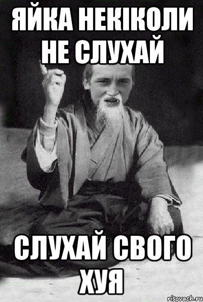 Яйка некіколи не слухай слухай свого хуя, Мем Мудрий паца