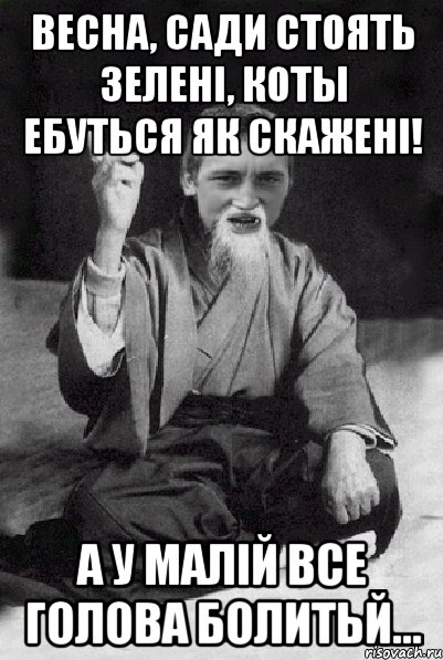 весна, сади стоять зеленi, коты ебуться як скаженi! а у малiй все голова болитьЙ..., Мем Мудрий паца