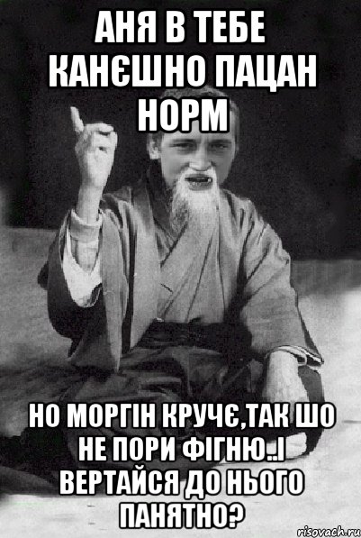 Аня в тебе канєшно пацан норм но Моргін кручє,так шо не пори фігню..і вертайся до нього ПАНЯТНО?, Мем Мудрий паца