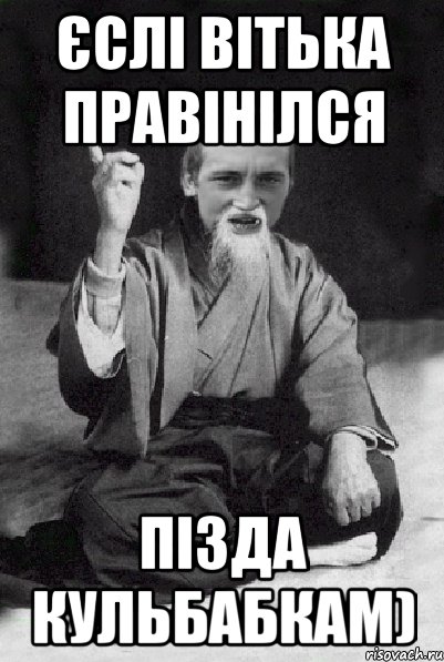 Єслі Вітька правінілся Пізда кульбабкам), Мем Мудрий паца