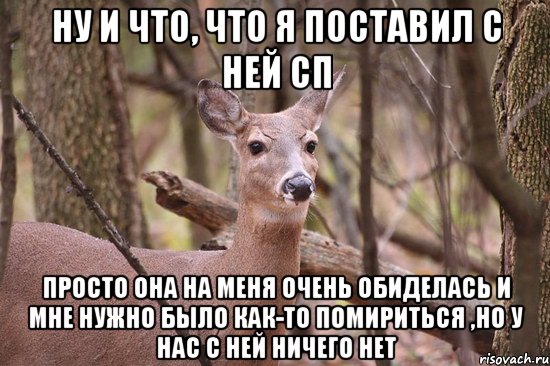 Ну и что, что я поставил с ней сп Просто она на меня очень обиделась и мне нужно было как-то помириться ,но у нас с ней ничего нет, Мем Наивная олениха