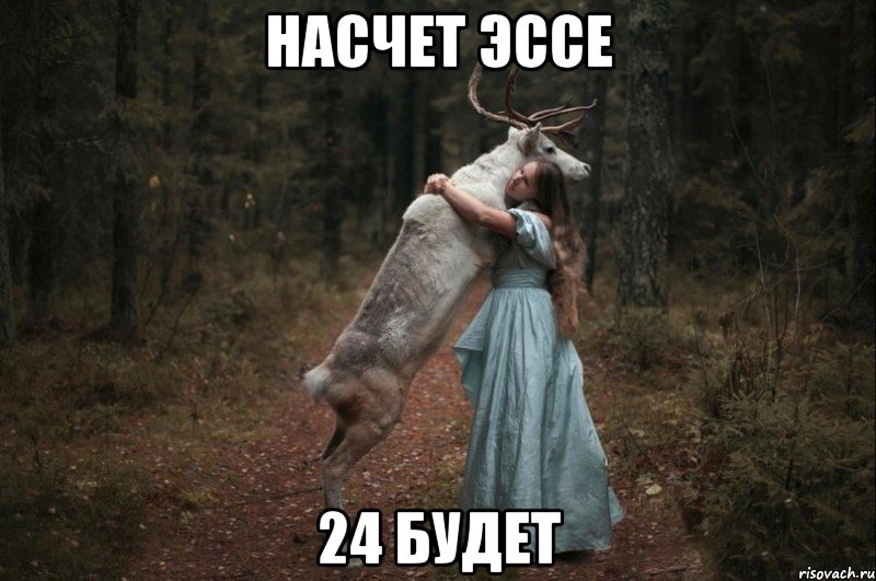 насчет эссе 24 будет